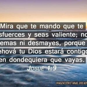 Meet your Posher, Adriana